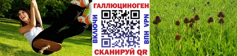 Псилоцибиновые грибы Magic Shrooms мега ТОР Называевск